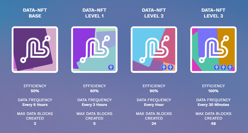 data NFT options