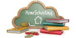 home school with online private school
